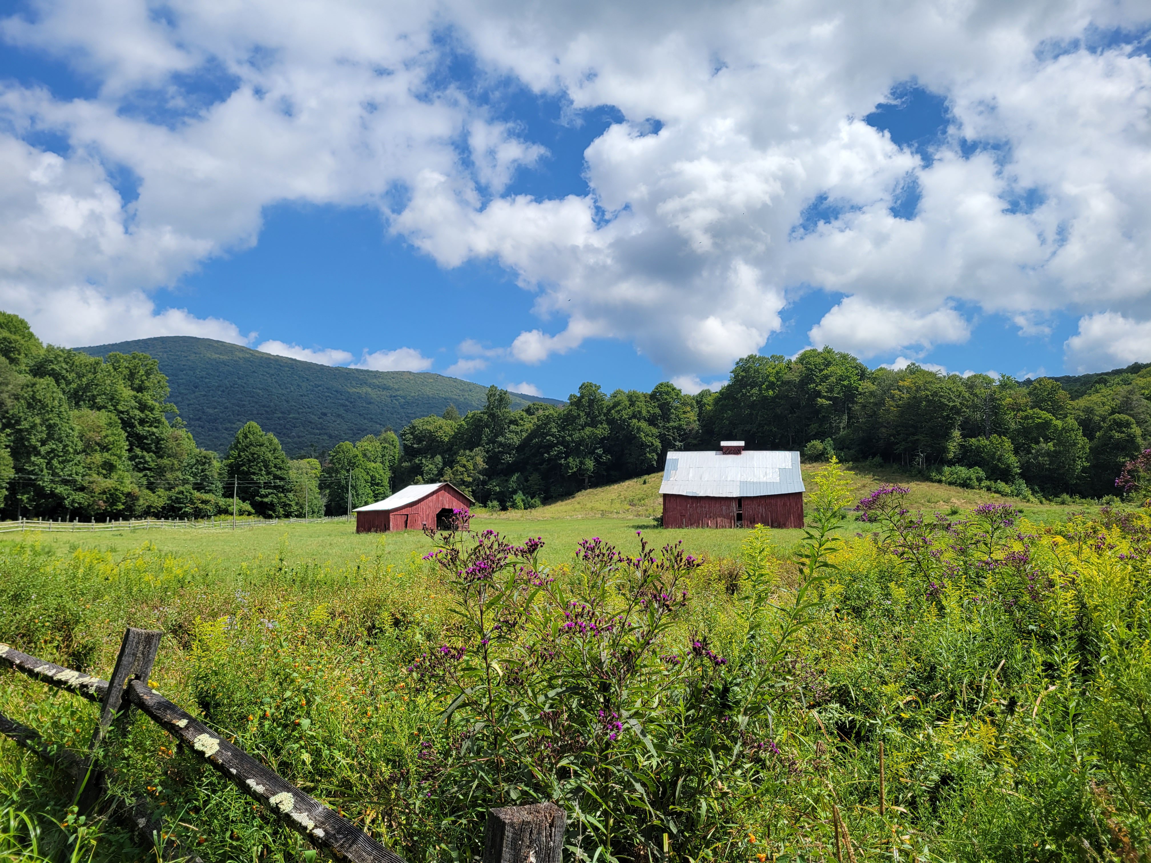 View of Green Cove barns in summer from the Virginia Creeper Trail near Green Cove