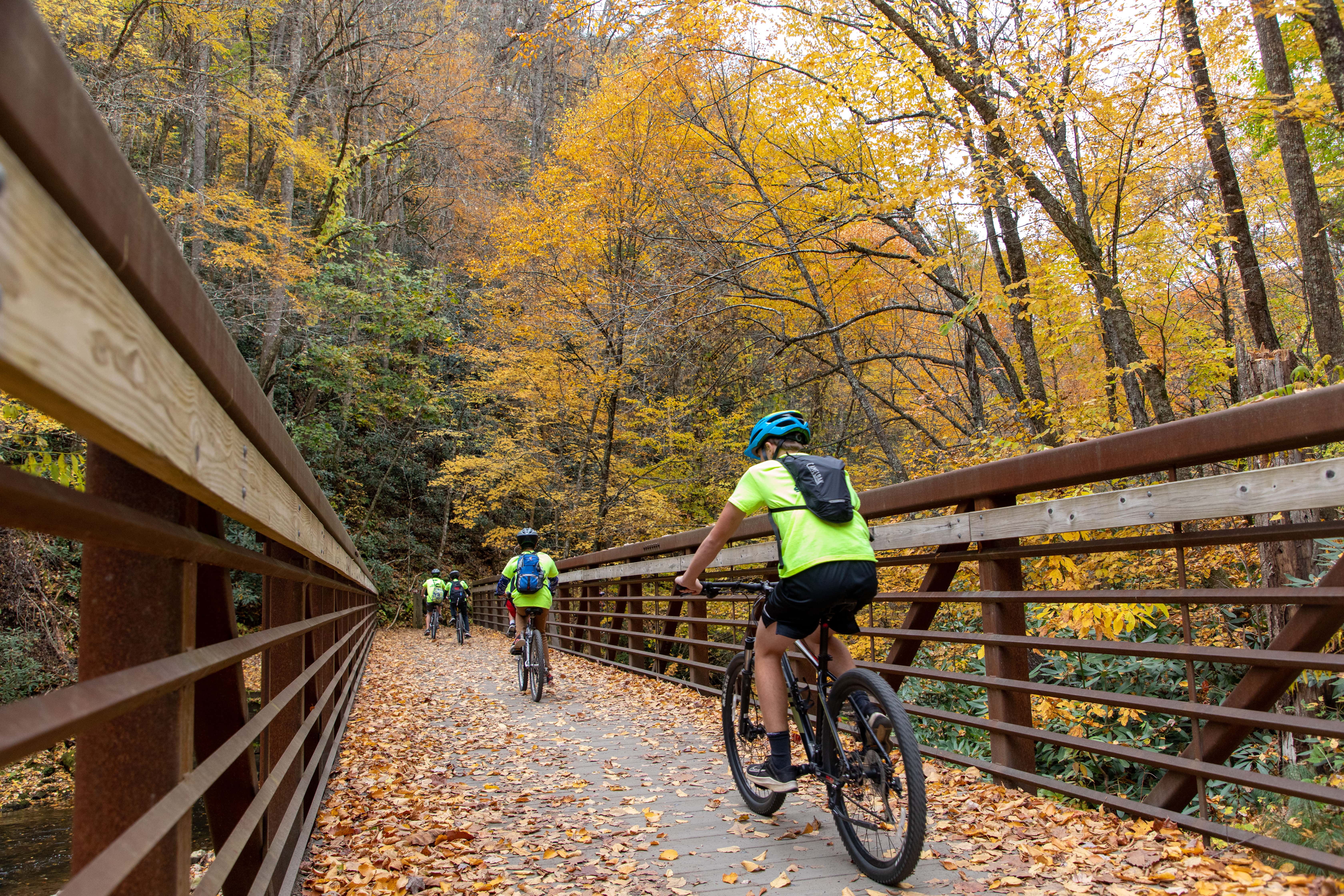 Scout troop biking the Virginia Creeper Trail in Damascus, Virginia
